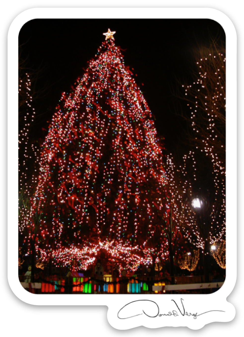 Merry Christmas Tree Vinyl Photography Sticker