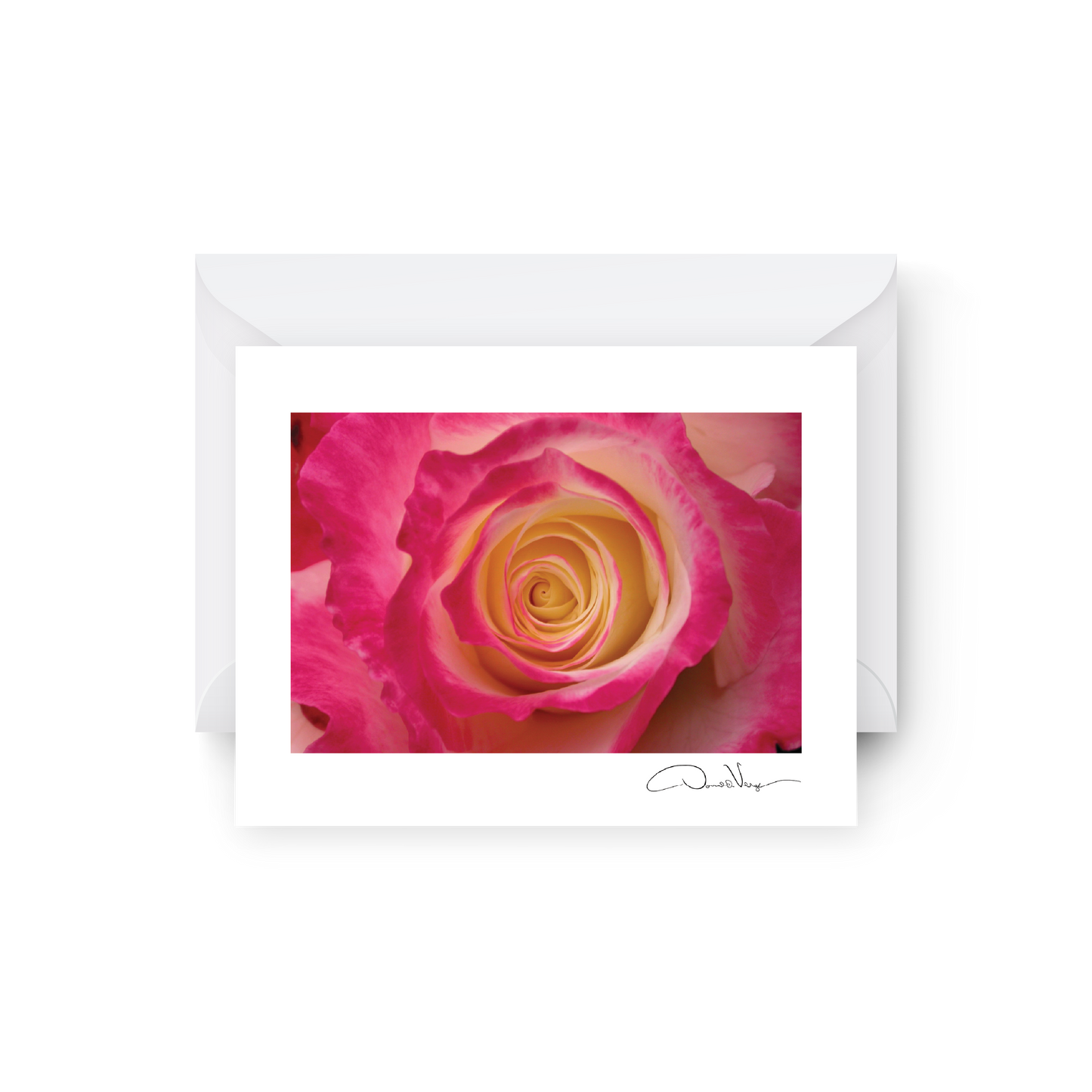 Red Rose Floral Blank Greeting Card