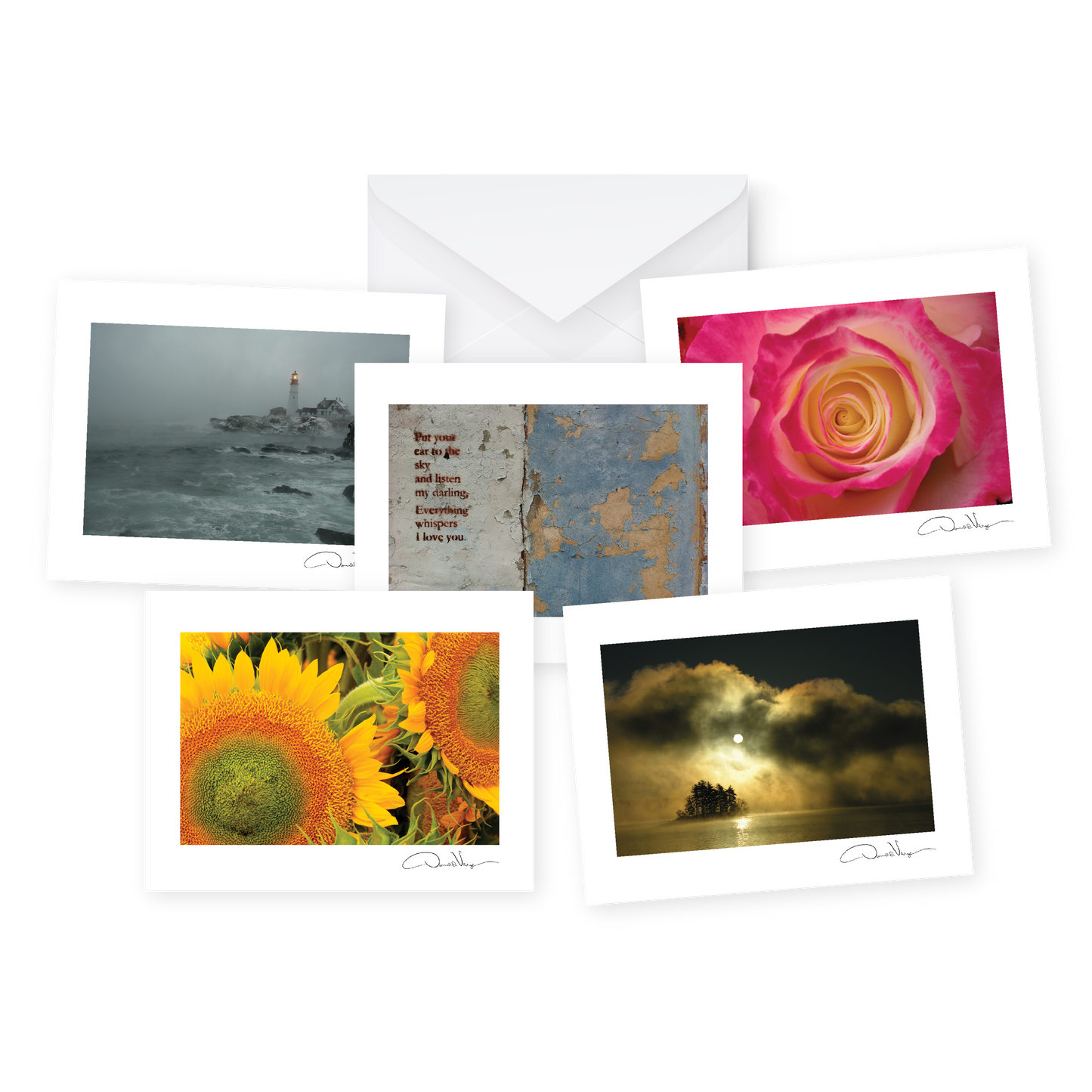 5 Flower, Landscape and Lighthouse Greeting Cards