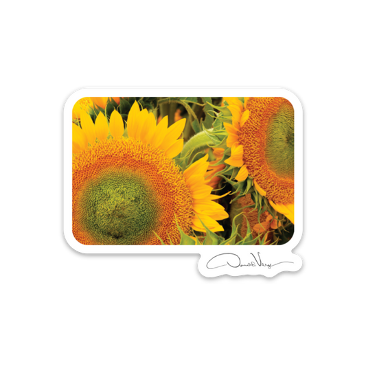 Farmers Market Sunflowers Photography Sticker