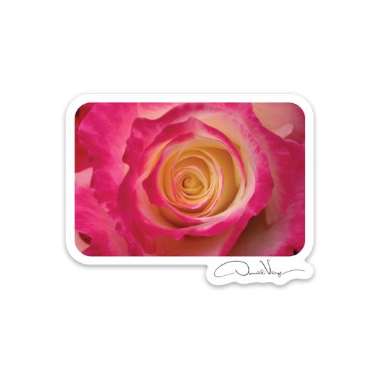 Red Rose Photography Sticker