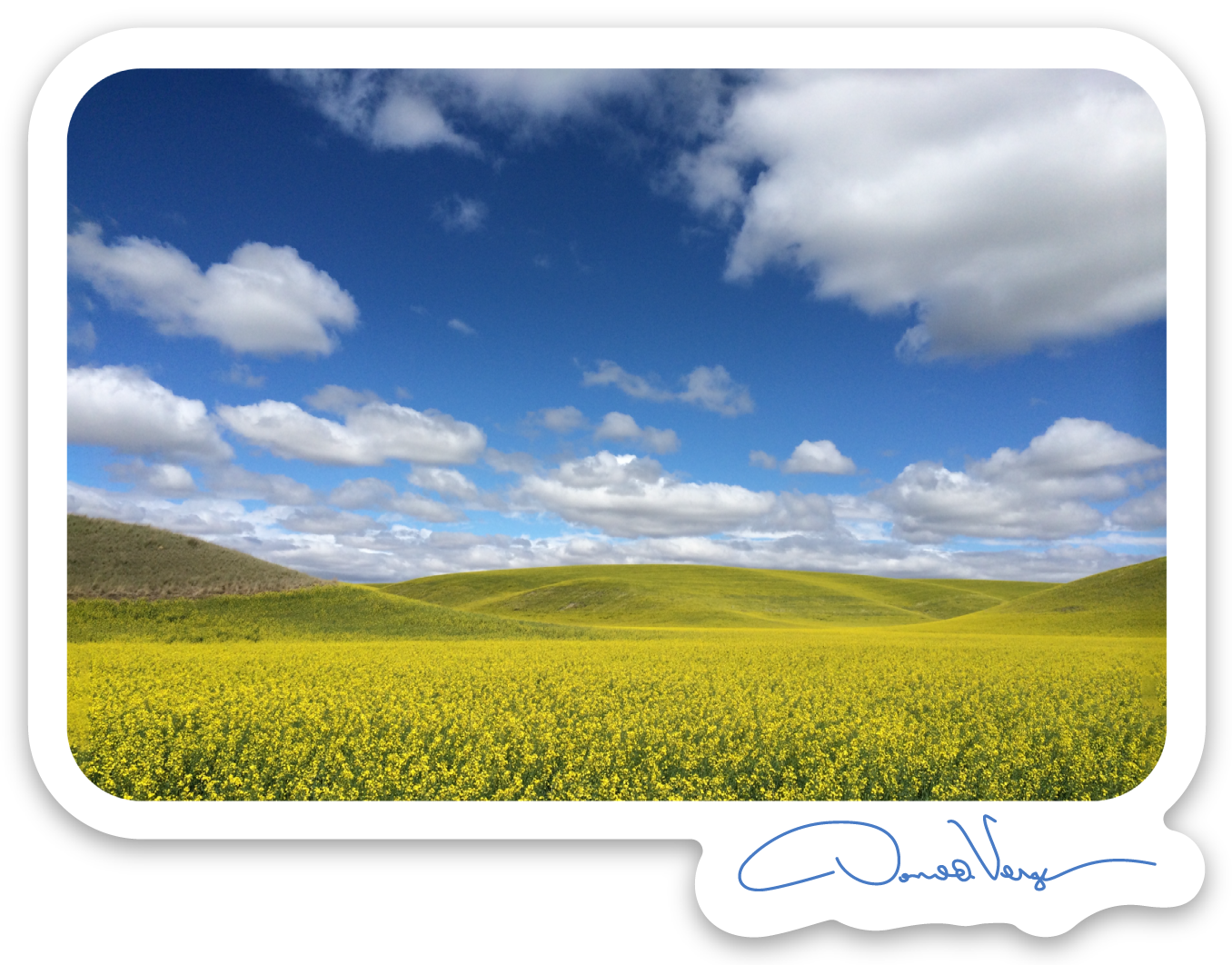 The Palouse Sky & Land Vinyl Sticker